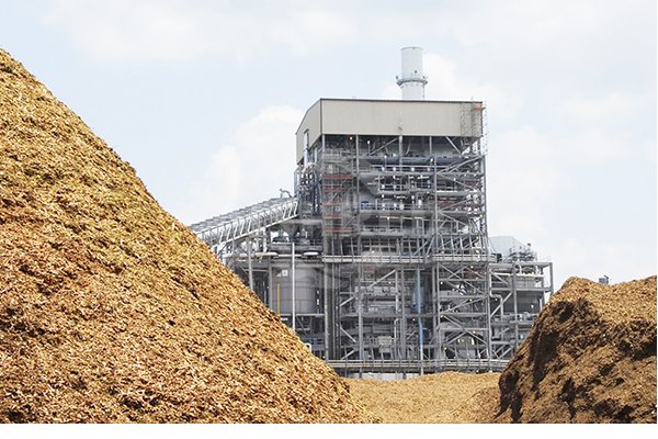 Spalování biomasy/spoluspalování pro teplo a elektřinu